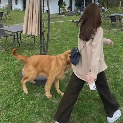 想吃掉我的非人少女